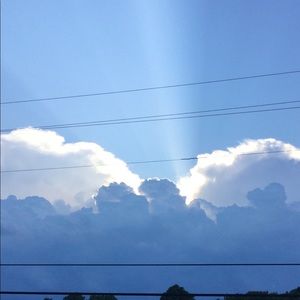 Meet your Posher, Gracie